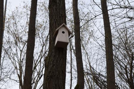 Gnezdilnice Radulja 3